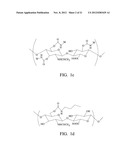 Biodegradable Hyaluronic Acid Derivative diagram and image