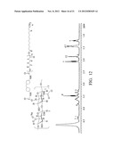 Biodegradable Hyaluronic Acid Derivative diagram and image