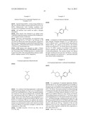 NOVEL PROCESSES FOR THE PREPARATION OF CYCLOPROPYL-AMIDE DERIVATIVES diagram and image