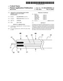 APPARATUS AND METHOD FOR GUIDED CHRONIC TOTAL OCCLUSION PENETRATION diagram and image