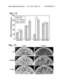 FUNGI ADAPTED TO METABOLIZE PHOSPHITE AS A SOURCE OF PHOSPHORUS diagram and image