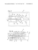 SPLIT GATE VALVE WITH BIASING MECHANISM diagram and image