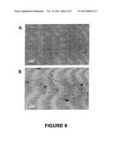 METHODS AND COMPOSITIONS FOR THE SEPARATION OF SINGLE-WALLED CARBON     NANOTUBES diagram and image