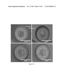 MICROFLUIDIC DEVICE AND METHOD OF MANUFACTURING THE MICROFLUIDIC DEVICE diagram and image