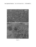 MICROFLUIDIC DEVICE AND METHOD OF MANUFACTURING THE MICROFLUIDIC DEVICE diagram and image