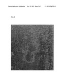 Cellular Potential Measurement Container and Production Method Therefor diagram and image