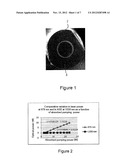 Optical Source Implementing a Doped Fiber, Fiber for Such an Optical     Source and Method for Manufacturing Such a Fiber diagram and image