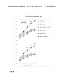 Means for the inhibition of anti-beta1-adrenergic receptor antibodies diagram and image