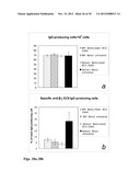 Means for the inhibition of anti-beta1-adrenergic receptor antibodies diagram and image