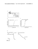 Means for the inhibition of anti-beta1-adrenergic receptor antibodies diagram and image