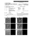 LEISHMANIA-BASED CARRIER FOR VACCINE DELIVERY diagram and image