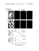 LEISHMANIA-BASED CARRIER FOR VACCINE DELIVERY diagram and image