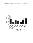 Stabilized Stat3 Decoy Oligonucleotides And Uses Therefor diagram and image