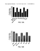 Stabilized Stat3 Decoy Oligonucleotides And Uses Therefor diagram and image