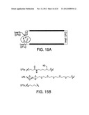 Stabilized Stat3 Decoy Oligonucleotides And Uses Therefor diagram and image