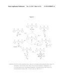 ANTIPROLIFERATIVE COMPOSITIONS COMPRISING CURCUMIN ANALOGS AND METHODS OF     PRODUCING AND USING SAME diagram and image