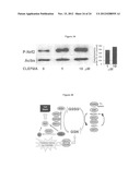 ANTIPROLIFERATIVE COMPOSITIONS COMPRISING CURCUMIN ANALOGS AND METHODS OF     PRODUCING AND USING SAME diagram and image