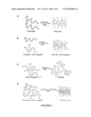 Interpenetrating polymer network comprising fibrin diagram and image