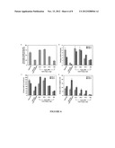 Interpenetrating polymer network comprising fibrin diagram and image