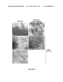 Interpenetrating polymer network comprising fibrin diagram and image