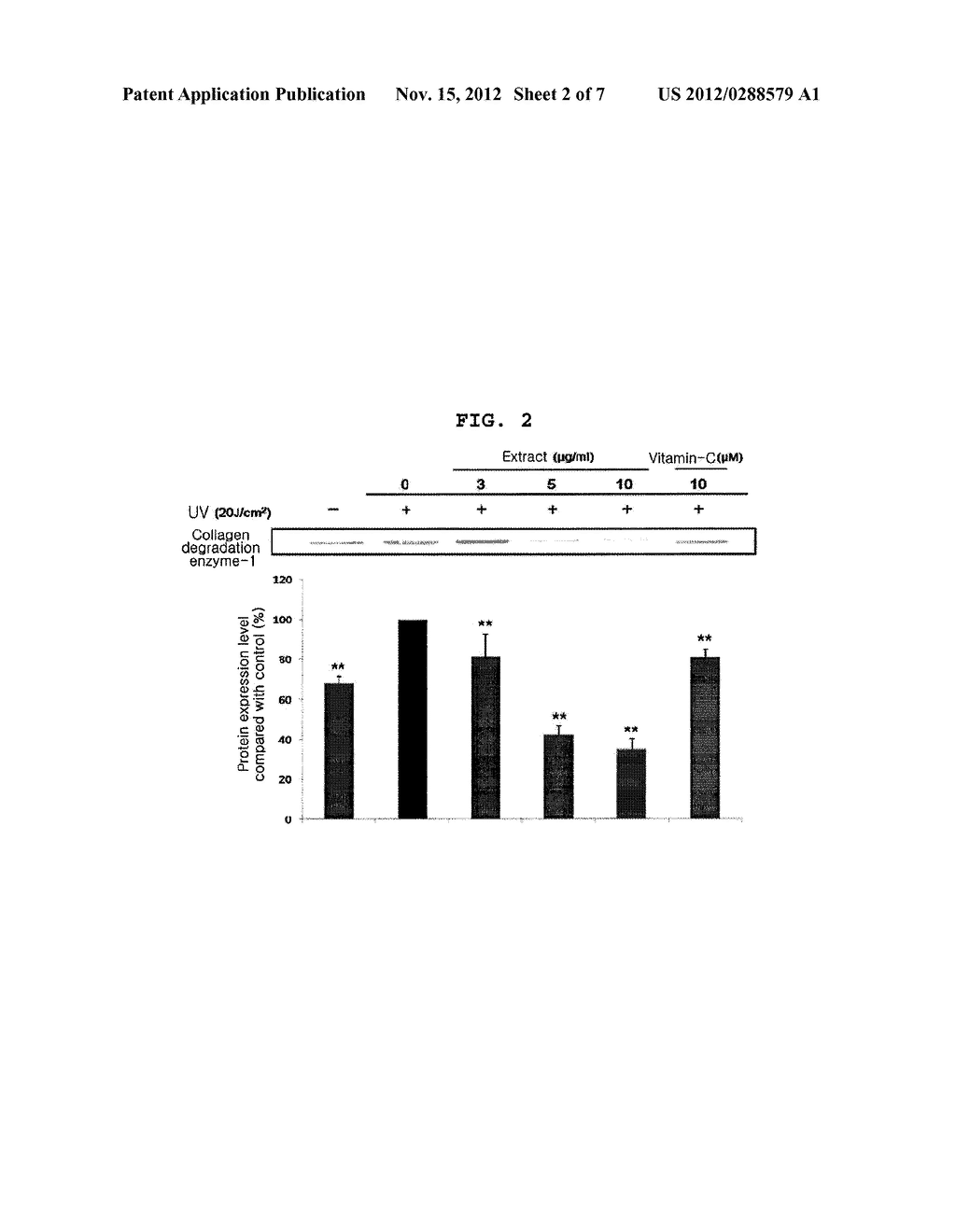 USE OF LIGNAN COMPOUND FOR ANTI-WRINKLE TREATMENT - diagram, schematic, and image 03