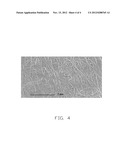 CATHODE OF LITHIUM BATTERY AND METHOD FOR FABRICATING THE SAME diagram and image