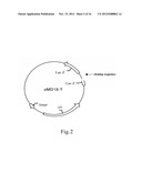 KITS FOR QUANTITATIVE DETECTION OF K-RAS MUTATIONS diagram and image