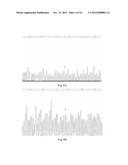 KITS FOR QUANTITATIVE DETECTION OF K-RAS MUTATIONS diagram and image