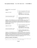 KITS FOR QUANTITATIVE DETECTION OF K-RAS MUTATIONS diagram and image