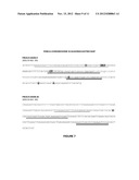 Oligonucleotides and methods for detecting KRAS and PIK3CA mutations diagram and image