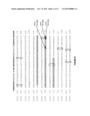 Oligonucleotides and methods for detecting KRAS and PIK3CA mutations diagram and image