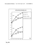 Means for the inhibition of anti-beta1-adrenergic receptor antibodies diagram and image