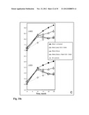 Means for the inhibition of anti-beta1-adrenergic receptor antibodies diagram and image