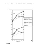 Means for the inhibition of anti-beta1-adrenergic receptor antibodies diagram and image