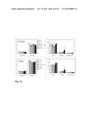 Means for the inhibition of anti-beta1-adrenergic receptor antibodies diagram and image