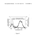 Modified Carbocyanine Dyes and Their Conjugates diagram and image