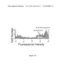 Modified Carbocyanine Dyes and Their Conjugates diagram and image