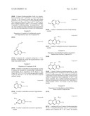 Modified Carbocyanine Dyes and Their Conjugates diagram and image