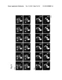 PROBE REAGENT FOR MEASUREMENT OF PROTEOLYTIC ACTIVITY diagram and image