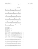 PROBE REAGENT FOR MEASUREMENT OF PROTEOLYTIC ACTIVITY diagram and image