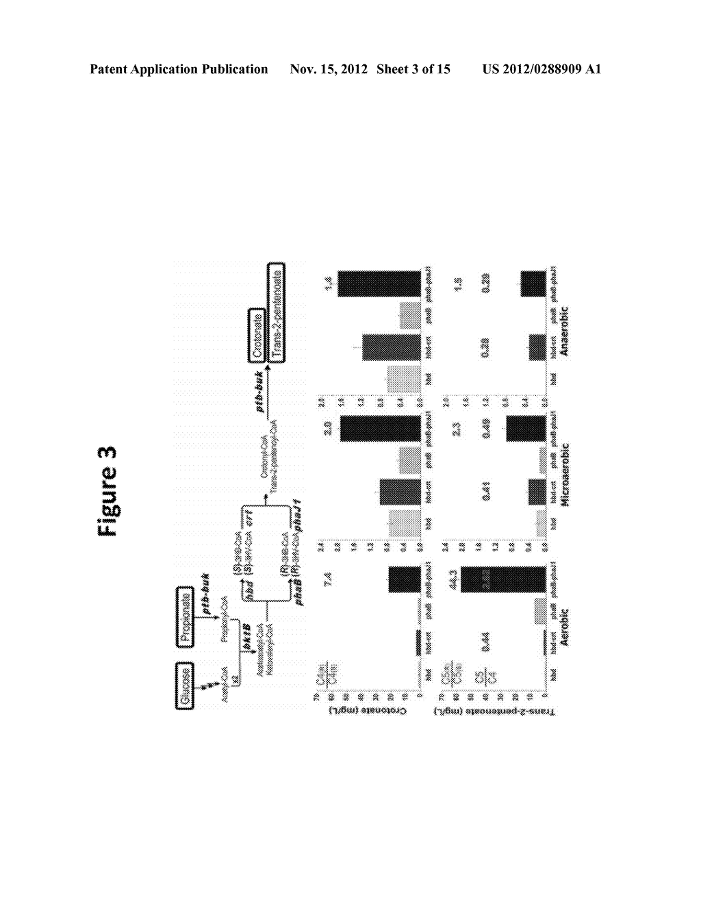 MICROBIAL PRODUCTION OF PENTANOL FROM GLUCOSE OR GLYCEROL - diagram, schematic, and image 04