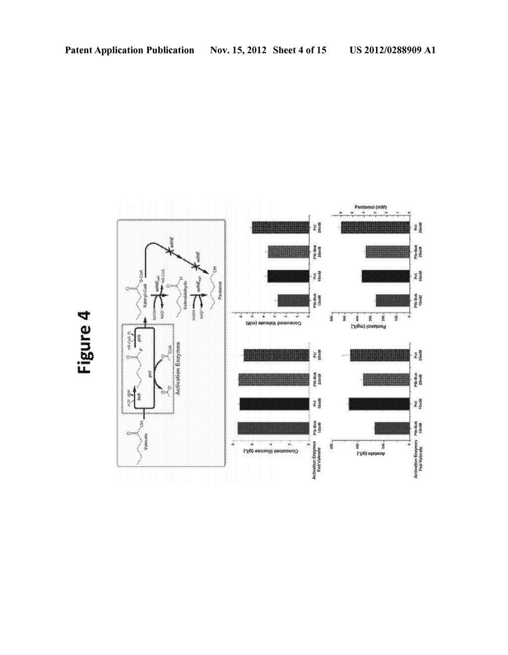 MICROBIAL PRODUCTION OF PENTANOL FROM GLUCOSE OR GLYCEROL - diagram, schematic, and image 05