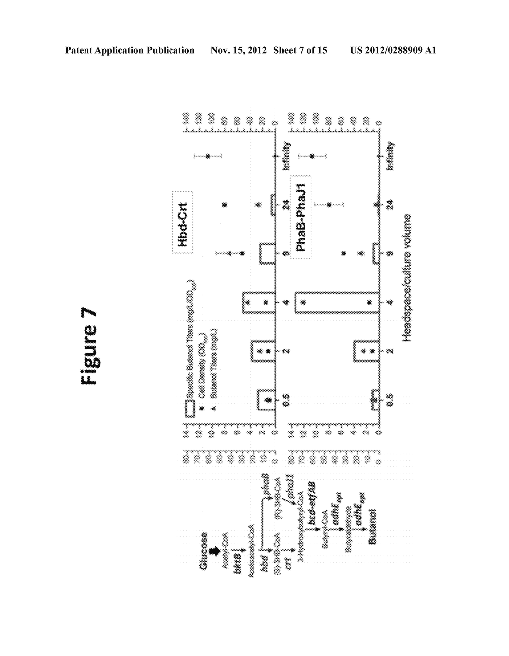 MICROBIAL PRODUCTION OF PENTANOL FROM GLUCOSE OR GLYCEROL - diagram, schematic, and image 08