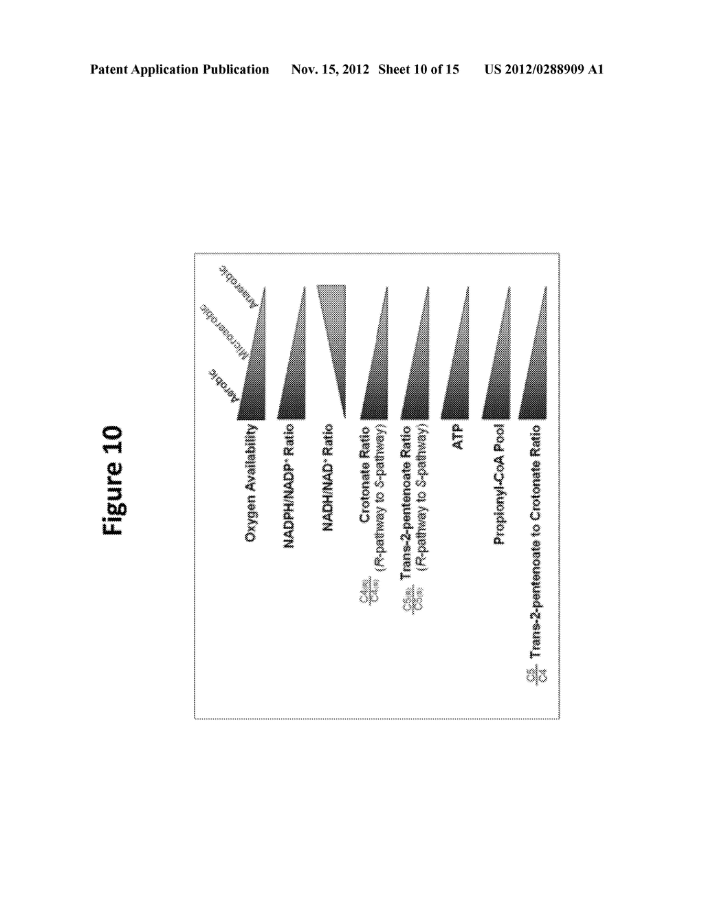 MICROBIAL PRODUCTION OF PENTANOL FROM GLUCOSE OR GLYCEROL - diagram, schematic, and image 11