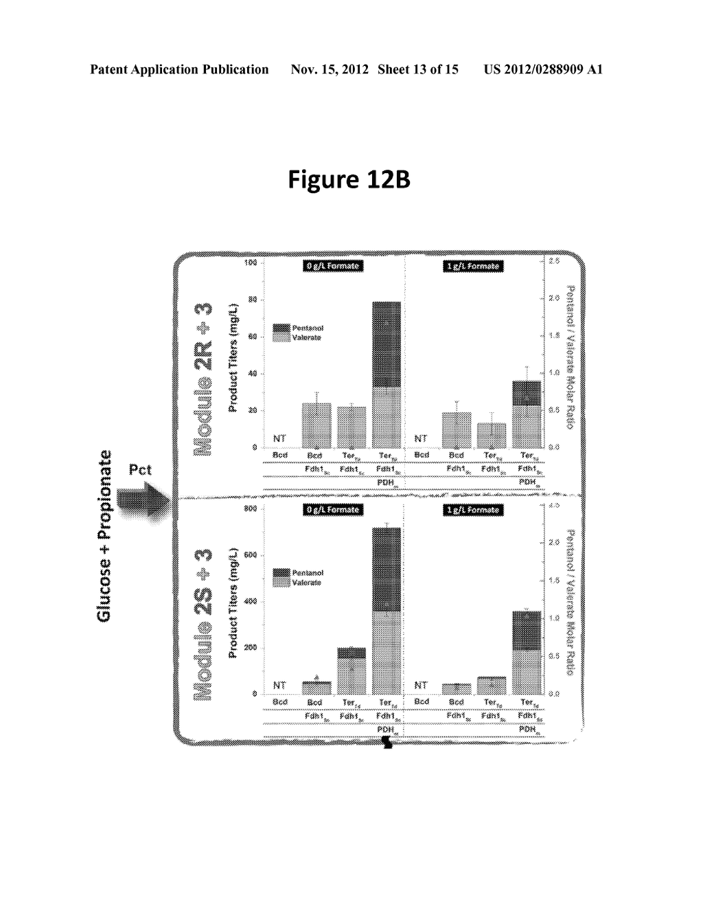 MICROBIAL PRODUCTION OF PENTANOL FROM GLUCOSE OR GLYCEROL - diagram, schematic, and image 14