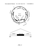 SALT TOLERANT ORGANISMS diagram and image