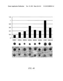 SALT TOLERANT ORGANISMS diagram and image