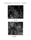 NANOPARTICULATE CELL CULTURE SURFACE diagram and image