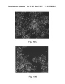 NANOPARTICULATE CELL CULTURE SURFACE diagram and image