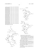 NOVEL COMPOUNDS WITH HIGH THERAPEUTIC INDEX diagram and image